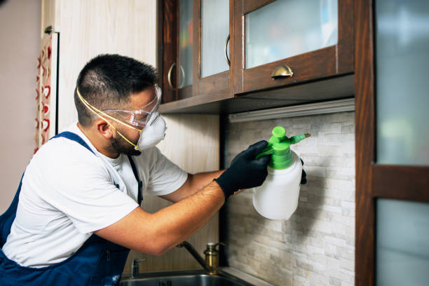 Best Residential Pest Control  in Clancy, MT