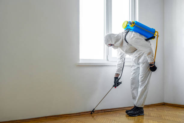 Best Bed Bug Extermination  in Clancy, MT