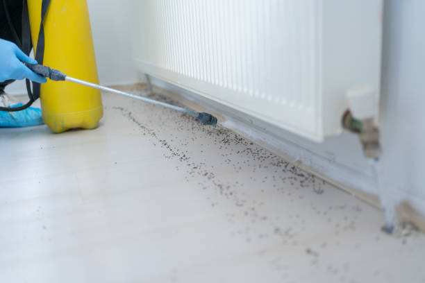 Best Pest Control Near Me in Clancy, MT
